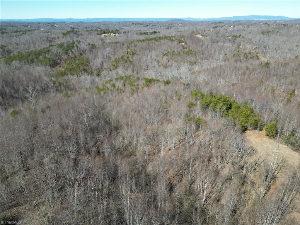 46.9 AC Seven Island Road, Danbury, North Carolina image 4