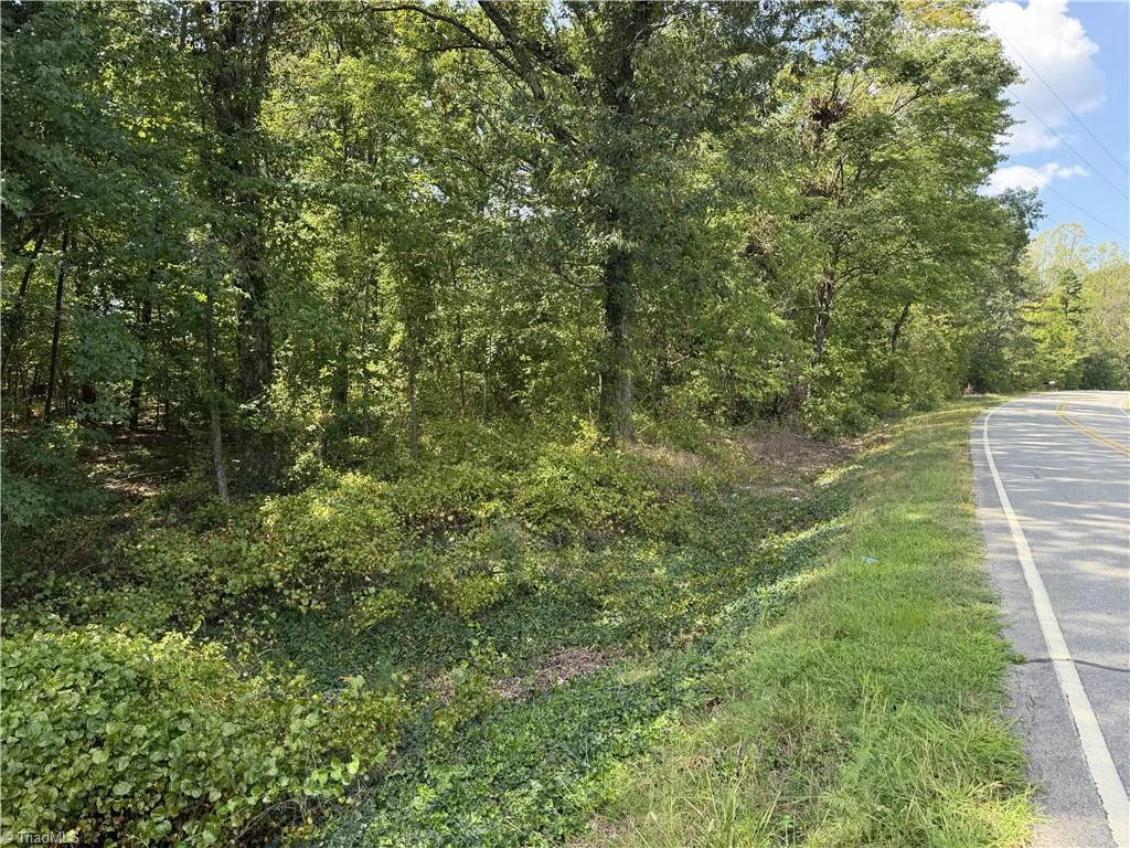 00000 Mizpah Church Road, Reidsville, NC, 27320