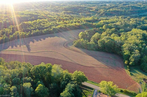 Vacant Land For Sale - 61.8 ACRES Spearman Road<br/> Browns Summit, NC 27320