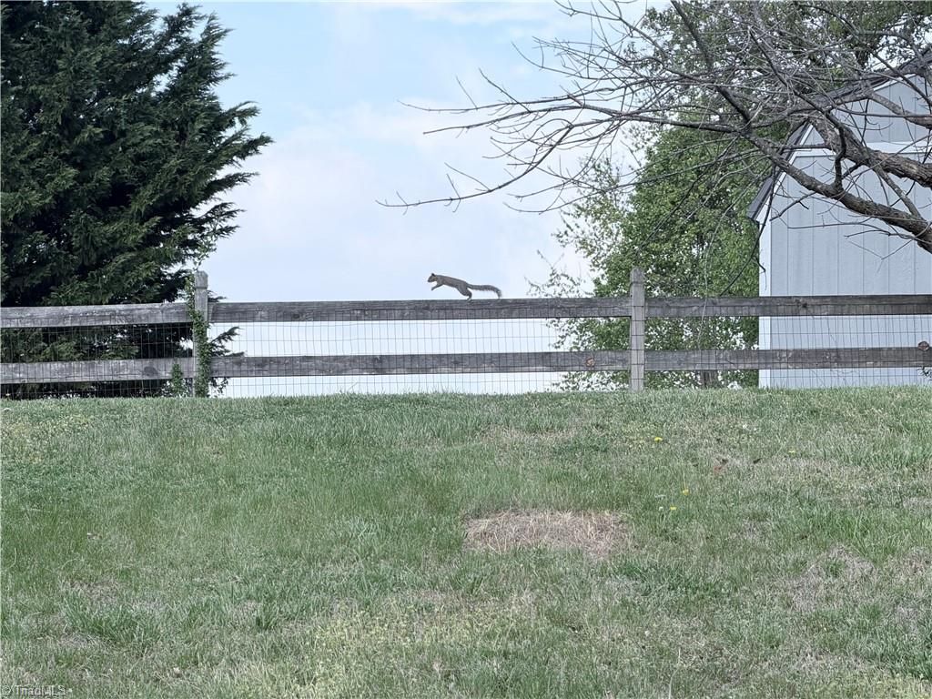 Photo of 108 Willow Bend Drive, King, NC 27021 (MLS # 1214078)