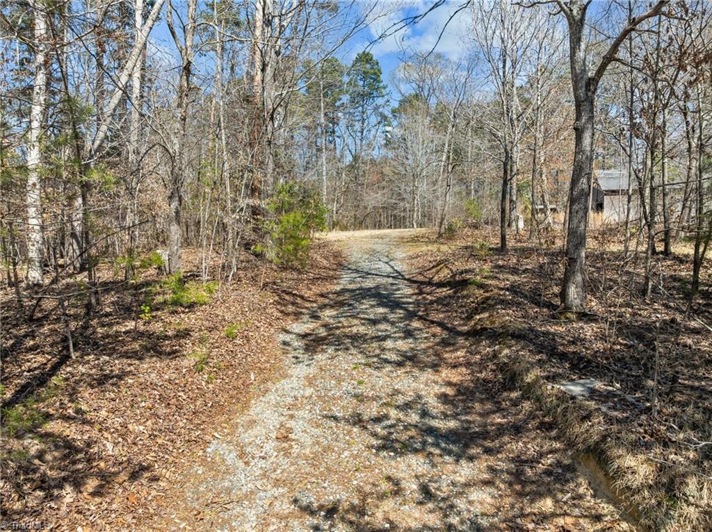 6313 Indian Hills Lane, Climax, North Carolina image 47
