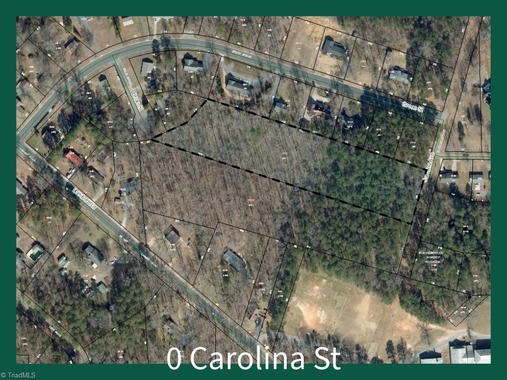 Carolina Avenue, Biscoe, North Carolina image 2