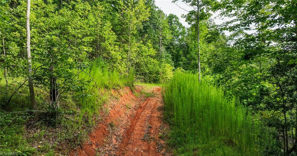 TBD Old Moravian Falls Road, Wilkesboro, North Carolina image 9