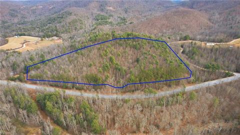 Vacant Land For Sale - TBD S Nc Highway 16<br/> Moravian Falls, NC 28654