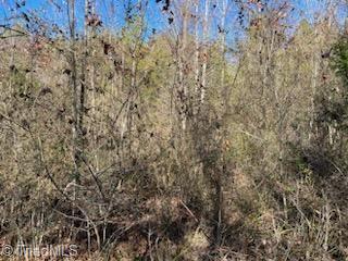 Lot 9 Stevens Drive, Jonesville, North Carolina image 5