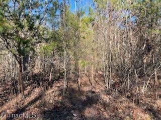 Lot 9 Stevens Drive, Jonesville, North Carolina image 6