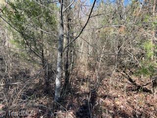 Lot 9 Stevens Drive, Jonesville, North Carolina image 4