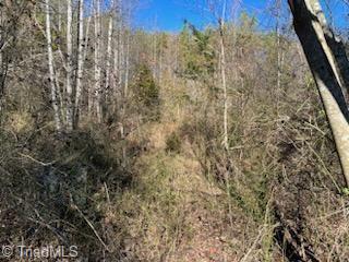 Lot 9 Stevens Drive, Jonesville, North Carolina image 3