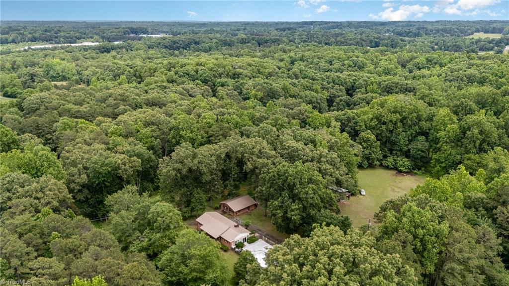 4700 Raven Drive, Climax, North Carolina image 3