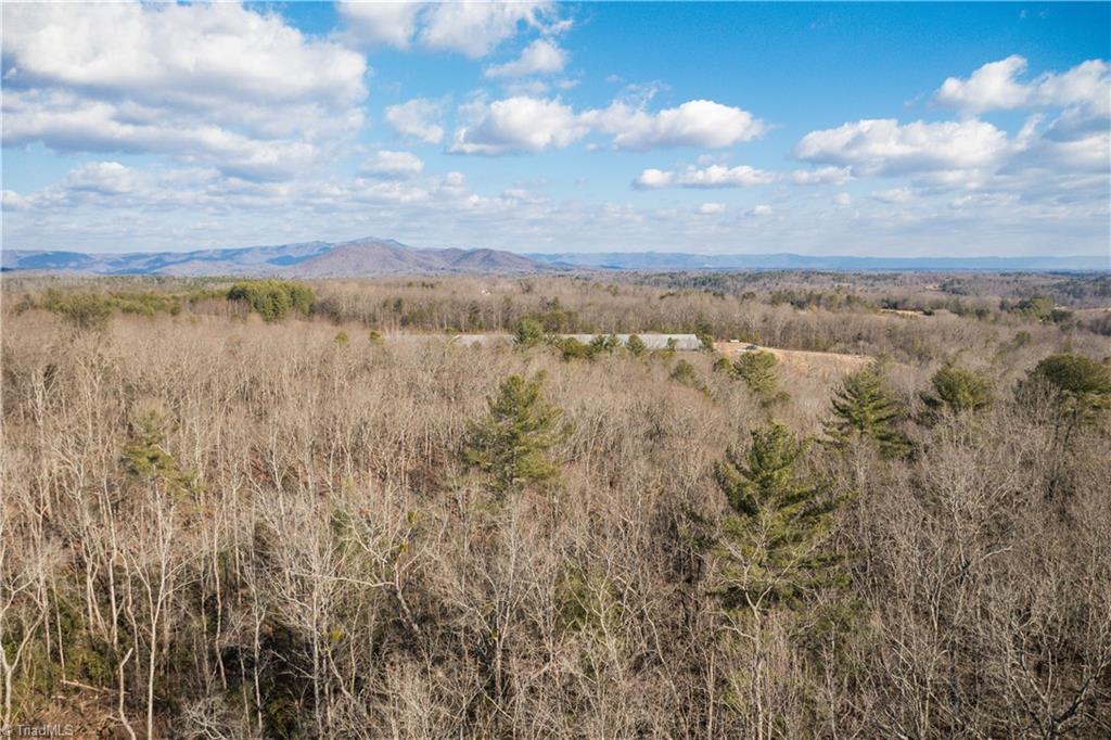 17.96 Acres Aubrey Thomas Lane, Dobson, North Carolina image 10