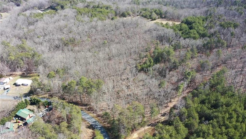 00 Hanging Rock Forest Road #TRACT D, Danbury, North Carolina image 4