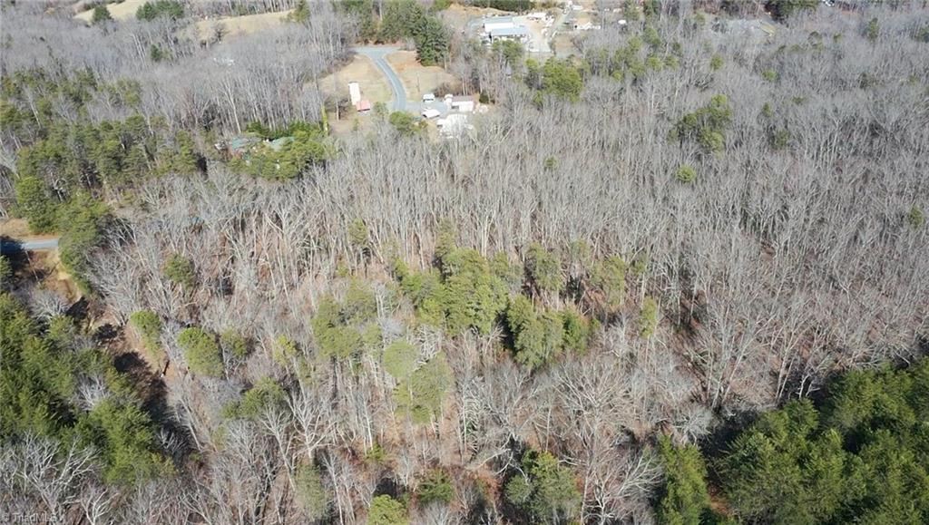 00 Hanging Rock Forest Road #TRACT D, Danbury, North Carolina image 3