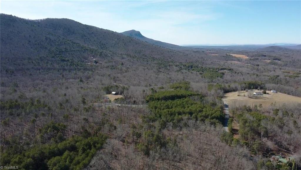 00 Hanging Rock Forest Road #TRACT D, Danbury, North Carolina image 5