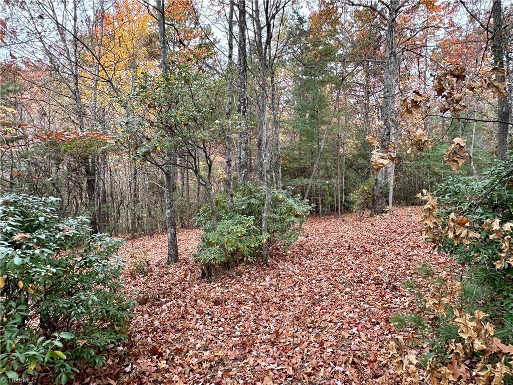 Lot 15C Cielo Ridge Way, Purlear, North Carolina image 26