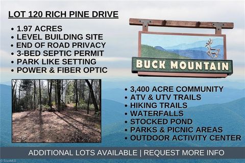 Vacant Land For Sale - LOT 120 Rich Pine Drive<br/> Purlear, NC 28665