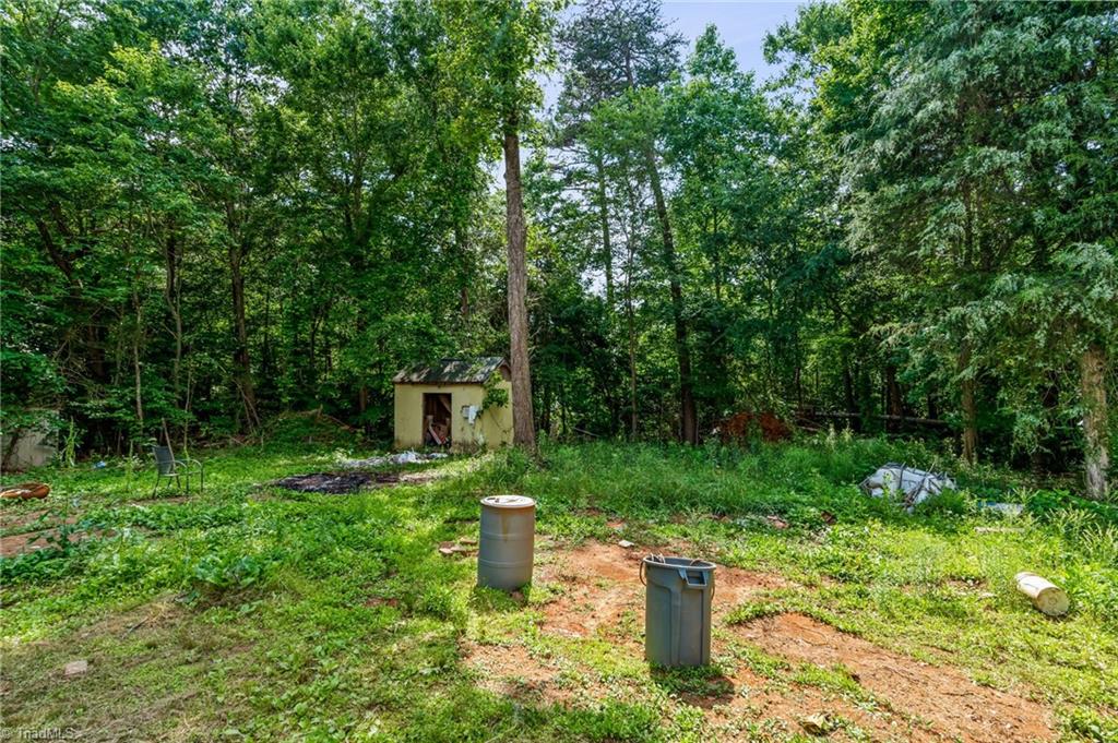 4812 Country Meadows Drive, Julian, North Carolina image 20