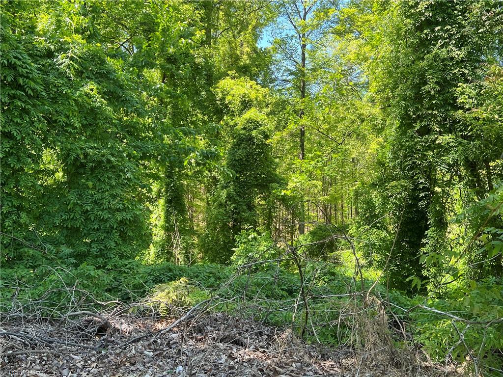 3.8 AC Nc Highway 87, Eden, North Carolina image 5