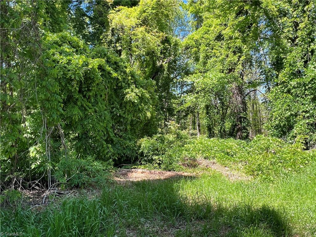3.8 AC Nc Highway 87, Eden, North Carolina image 4