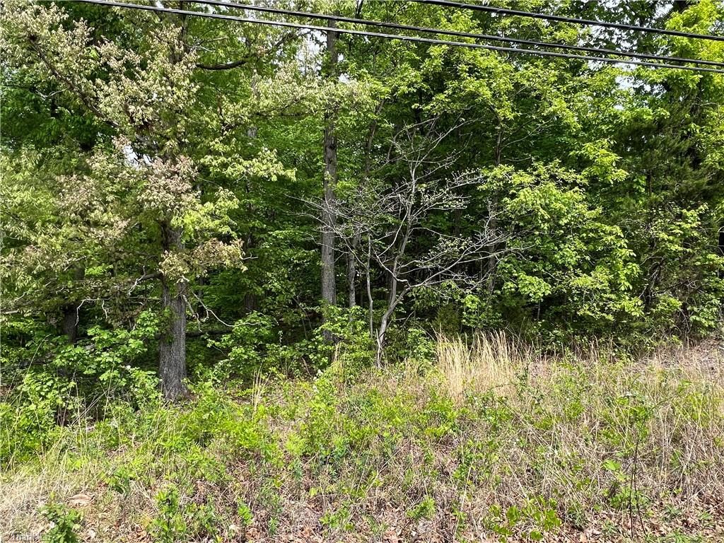 3.8 AC Nc Highway 87, Eden, North Carolina image 3