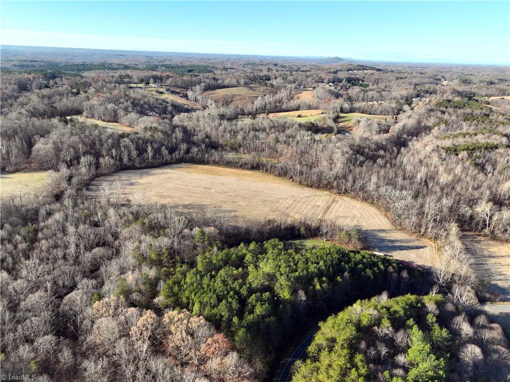 Lot 2- 0 Bowen Road, Pinnacle, North Carolina image 14