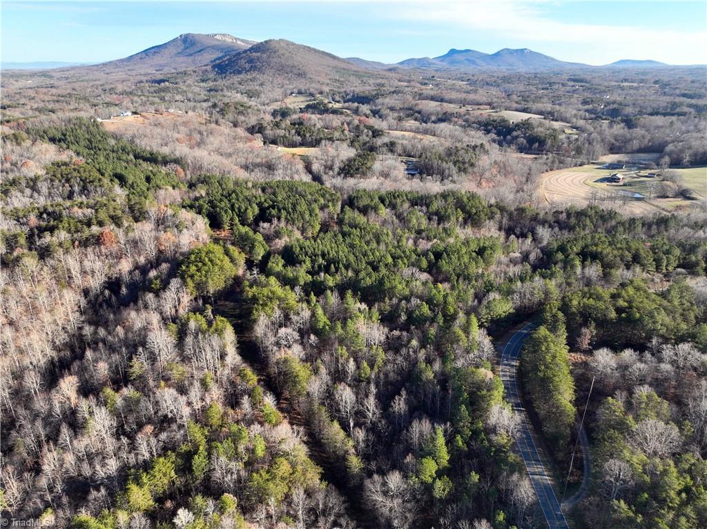 Lot 2- 0 Bowen Road, Pinnacle, North Carolina image 11