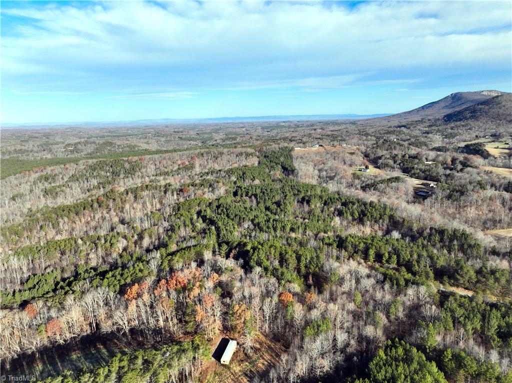 Lot 2- 0 Bowen Road, Pinnacle, North Carolina image 15