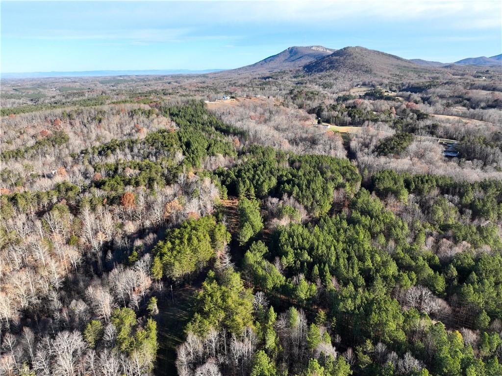 Lot 2- 0 Bowen Road, Pinnacle, North Carolina image 3