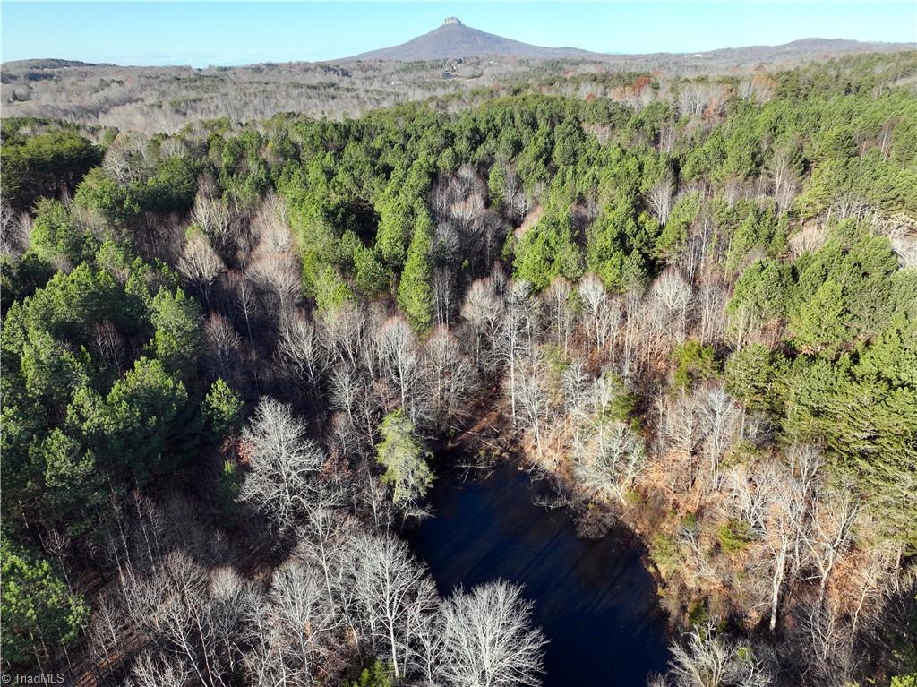 Lot 2- 0 Bowen Road, Pinnacle, North Carolina image 12