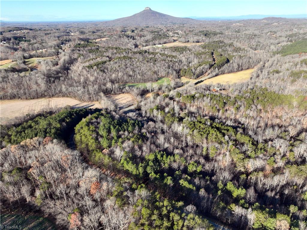 Lot 2- 0 Bowen Road, Pinnacle, North Carolina image 2