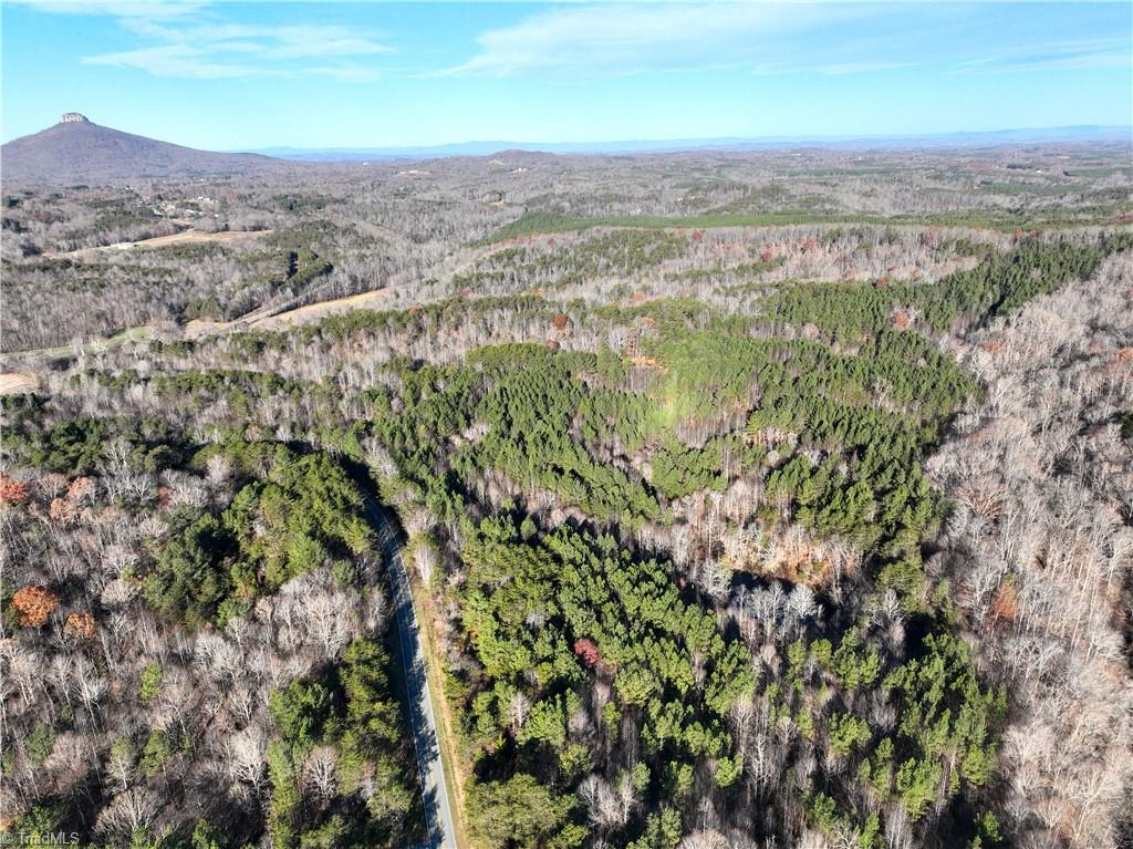 Lot 2- 0 Bowen Road, Pinnacle, North Carolina image 16