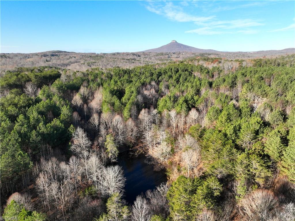 Lot 2- 0 Bowen Road, Pinnacle, North Carolina image 4