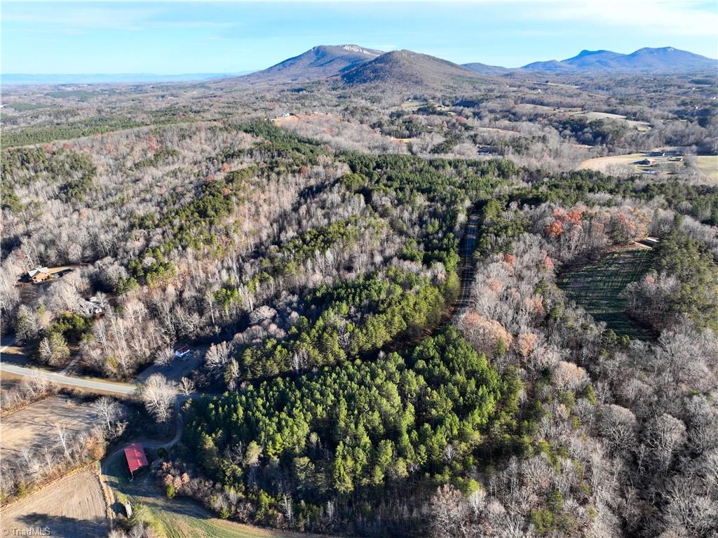 Lot 2- 0 Bowen Road, Pinnacle, North Carolina image 9