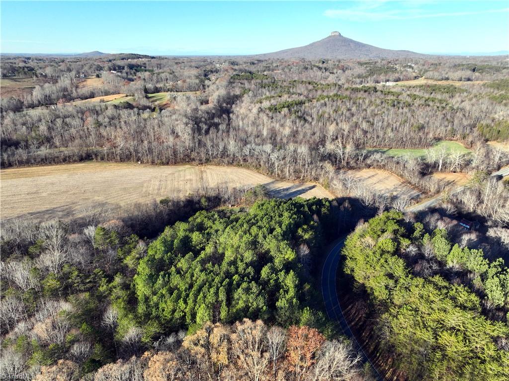 Lot 2- 0 Bowen Road, Pinnacle, North Carolina image 5