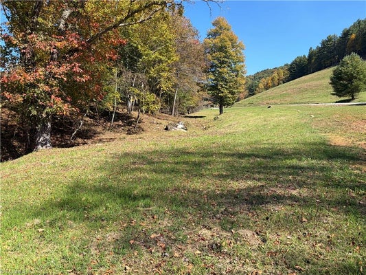ADDRESS PRIVATE, LAUREL SPRINGS, NC  - Image 58fa5137ae6fefa6ad1d892287cd185d/2685025951