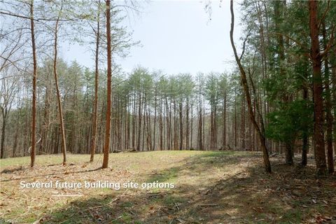 Vacant Land For Sale - 1583 Seven Island Road<br/> Danbury, NC 27016