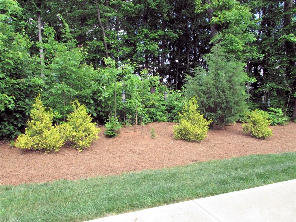 3766 Echo Forest Trail, High Point, North Carolina image 36