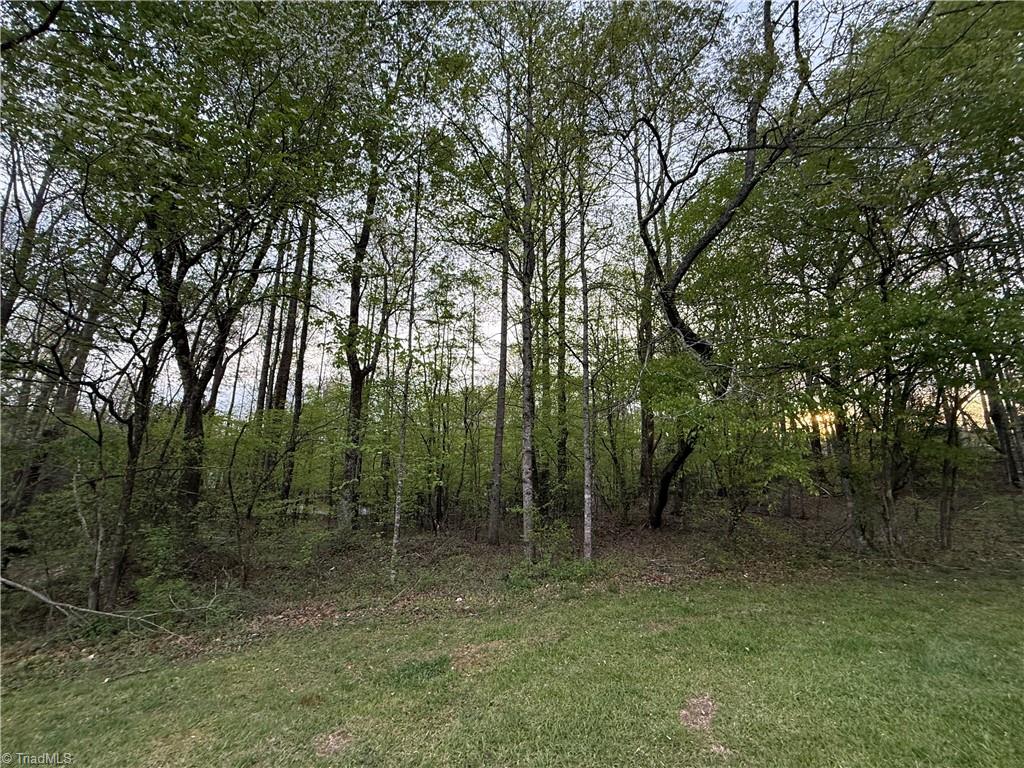 00 Cabin Cove Lane, Moravian Falls, North Carolina image 3