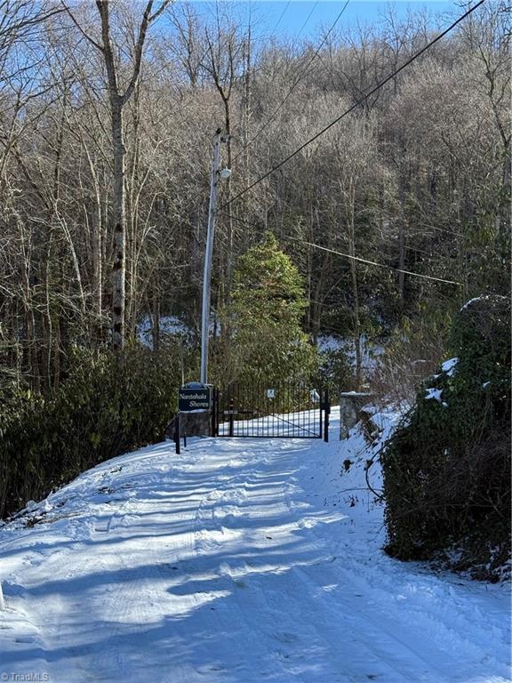 Lot 35 Nantahala Shores Road, Topton, North Carolina image 11