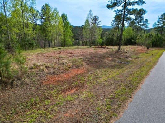 1997 LAKE VISTA NORTHEAST DR, CONNELLYS SPRINGS, NC 28612 - Image 5a96d52cf1c99a67bbd510e80e46e3f6/4274806806