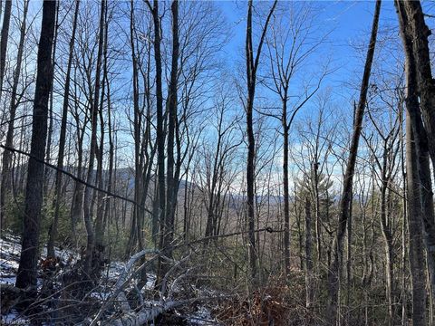 Vacant Land For Sale - TBD (LOT 8) Woodland Ridge<br/> Ashe County, Lansing, NC 28643