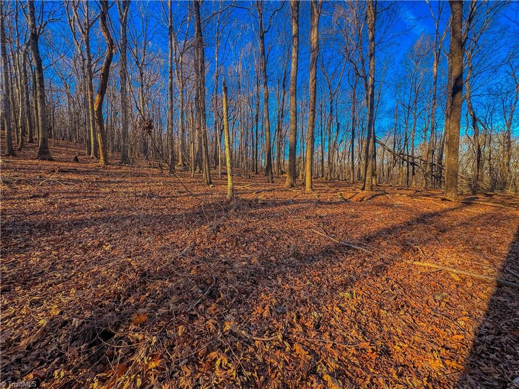 279 Palisade Trail, Denton, North Carolina image 5