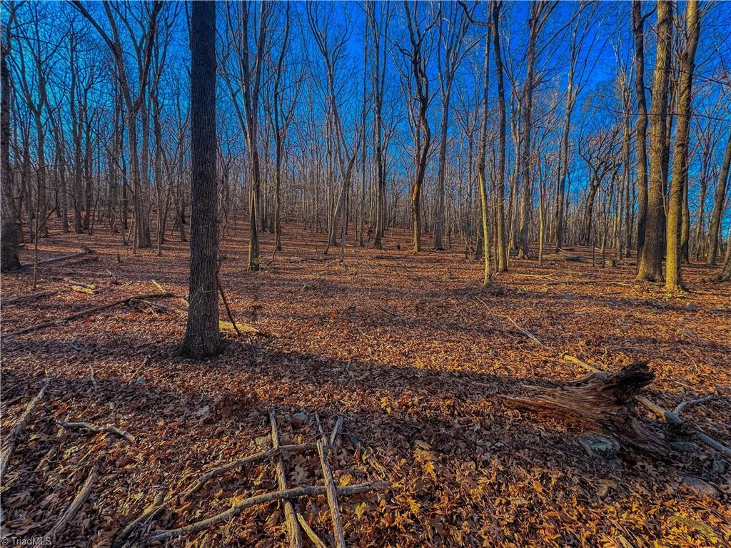 279 Palisade Trail, Denton, North Carolina image 3