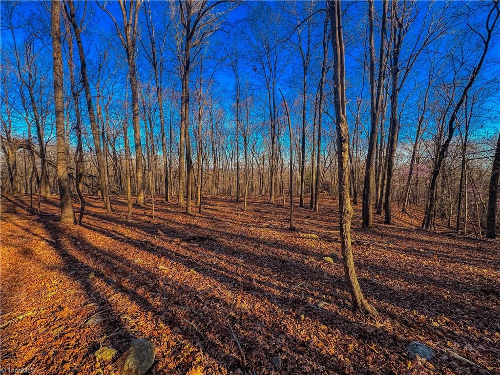 279 Palisade Trail, Denton, North Carolina image 6