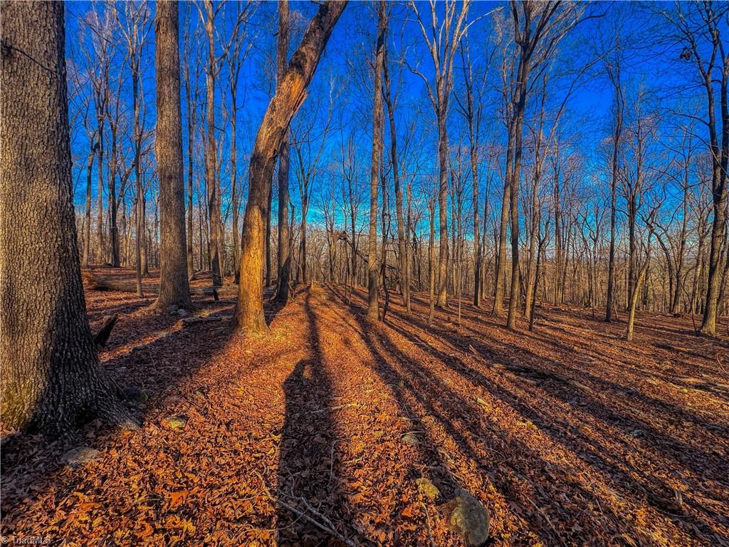 279 Palisade Trail, Denton, North Carolina image 7