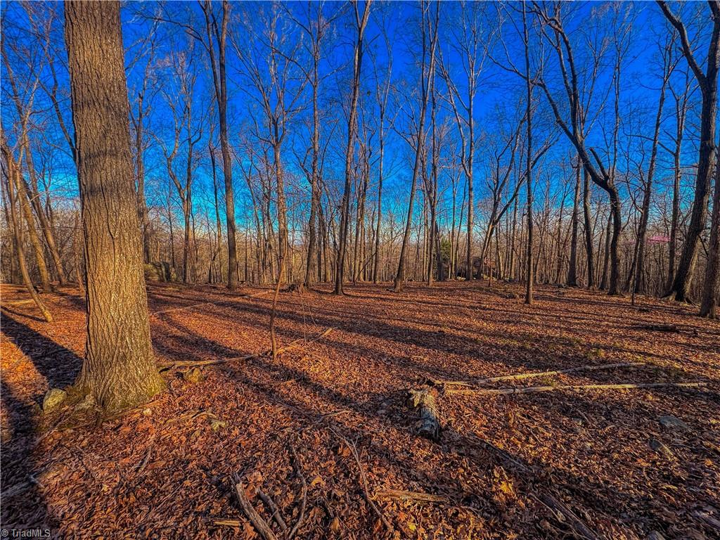 279 Palisade Trail, Denton, North Carolina image 1