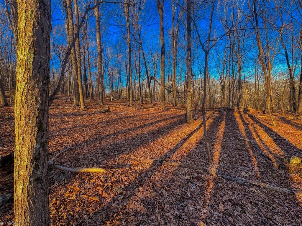 279 Palisade Trail, Denton, North Carolina image 2