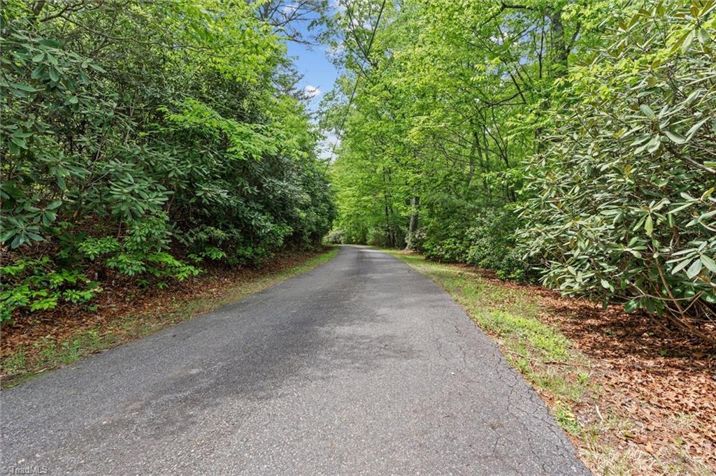 479 Lawrelyn Drive, Mount Airy, North Carolina image 33