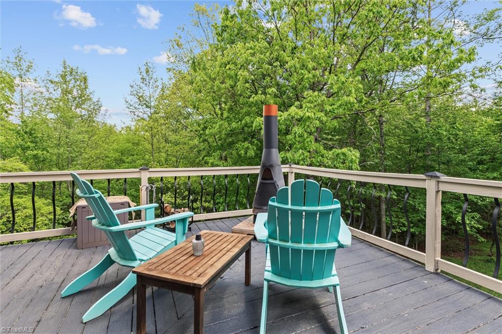 479 Lawrelyn Drive, Mount Airy, North Carolina image 31