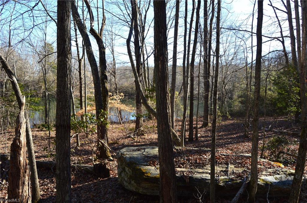 00 Hanging Rock Park Road, Danbury, North Carolina image 9