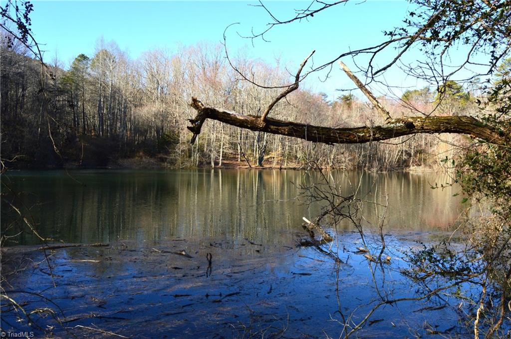 00 Hanging Rock Park Road, Danbury, North Carolina image 3